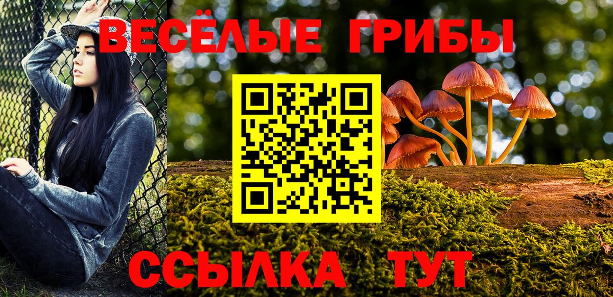 Галлюциногенные грибы MAGIC MUSHROOMS  Вход с VPN  Псилоцибиновые грибы Psilocybe  Славянск-на-Кубани 